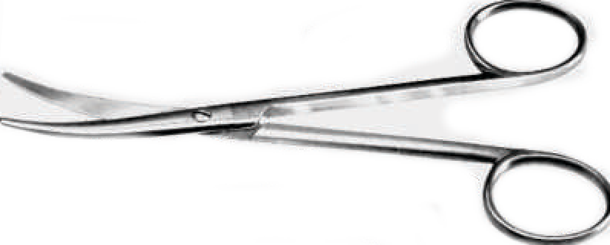 Enucleation Scissor
